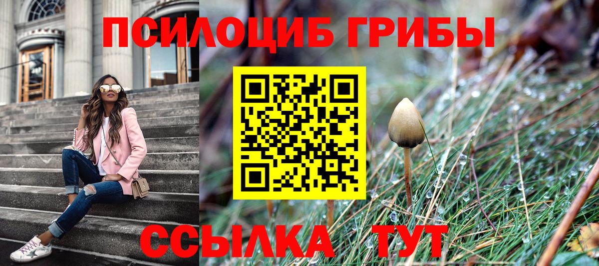 Псилоцибиновые грибы Psilocybe Малоярославец